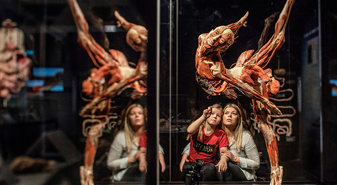 Всемирно известная выставка BODY WORLDS приезжает в Россию