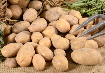 Новый сорт картофеля назвали в честь сибирского чудища