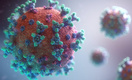 При каких условиях у человека срабатывает Т-клеточный иммунитет, выяснили ученые