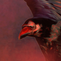 Аватарка Leg1oner