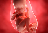 Беременность 37 недель развитие плода и ощущения женщины форум thumbnail