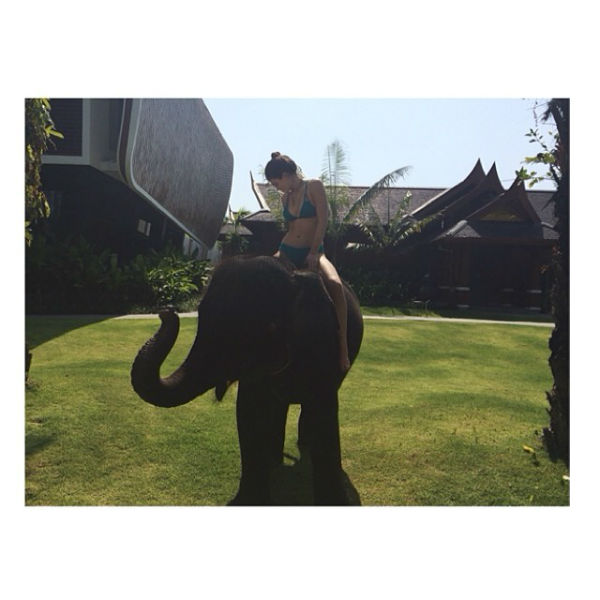 Кайли слону понравилась