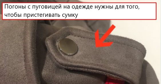 Полезные и дурацкие факты об окружающем мире, которые стыдно не знать в твоем возрасте