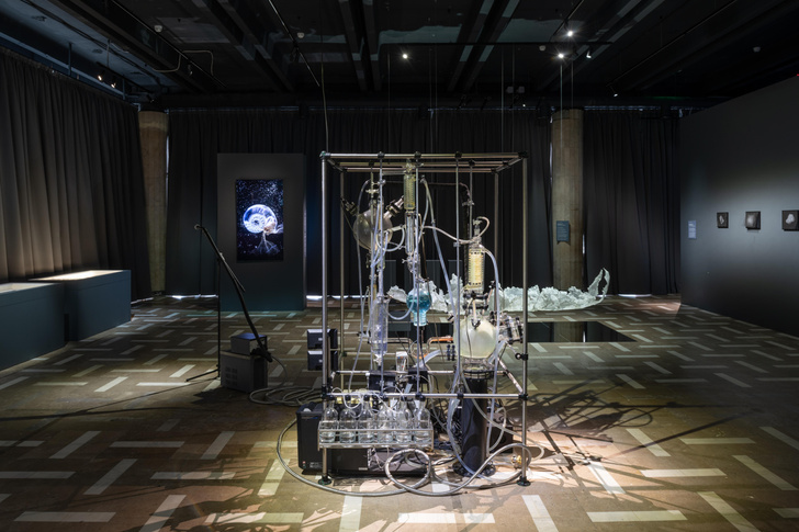 Увидеть молекулы, послушать металл: гид по выставке New Elements в Новой Третьяковке