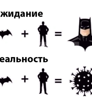 17 картинок недели и глаз перед скарабеем