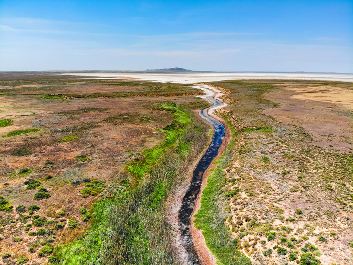 Российское «мертвое море»: чем манит туристов озеро Баскунчак в Астраханской области