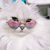 Аватарка Fluffy