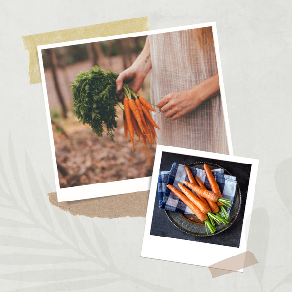 Полезные рецепты: как вкусно приготовить морковь на гарнир