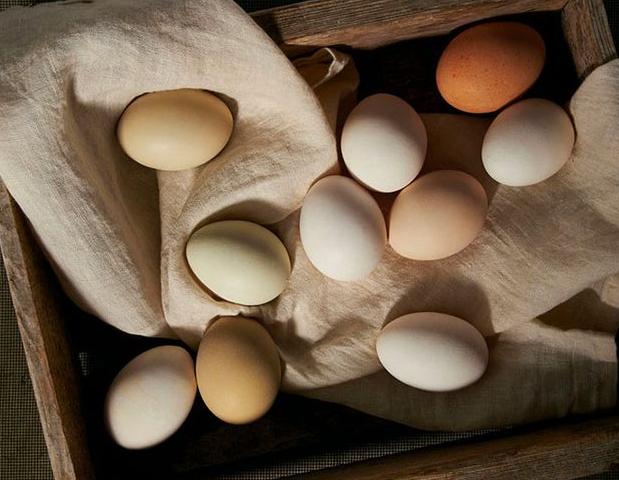 Как нельзя варить яйца, если не хотите проблем с желудком
