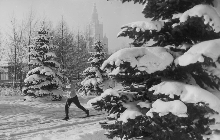 Планы на каникулы: уличная фотовыставка галереи Люмьер