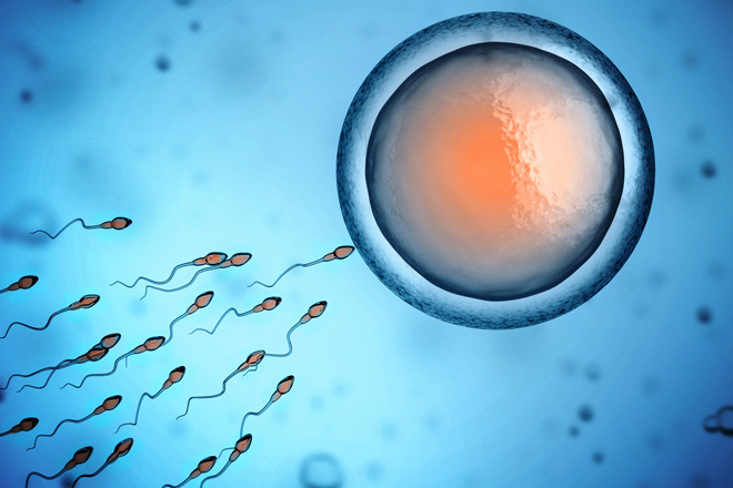 Зачем замораживать яйцеклетки: сколько стоит заморозить яйцеклетку