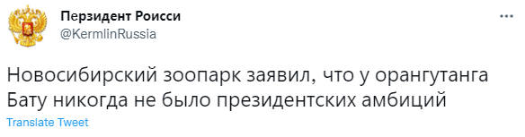 Лучшие шутки про орангутана Бату, из-за которого в Новосибирске разразился политический скандал