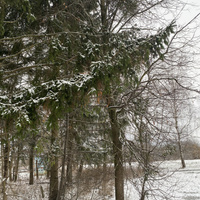 Аватарка Konsultant_po_GV