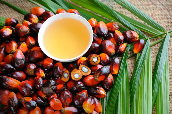 Почему почти во все продукты добавляют пальмовое масло
