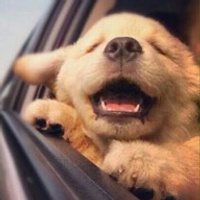 Аватарка Даша Глинко