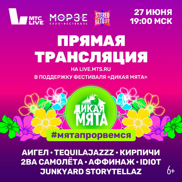 Большой концерт в поддержку «Дикой мяты» пройдет в Петербурге