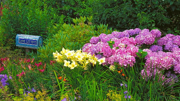 Лучше, чем у соседей: 7 приемов, которые придадут вашему саду индивидуальность