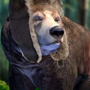 Игра дня: Bear Simulator, где ты проживешь жизнь настоящего хозяина леса 😂