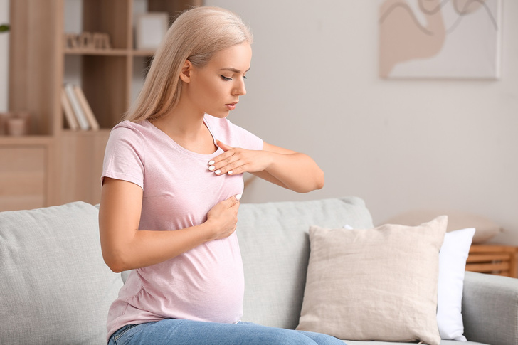 как меняются молочные железы при беременности