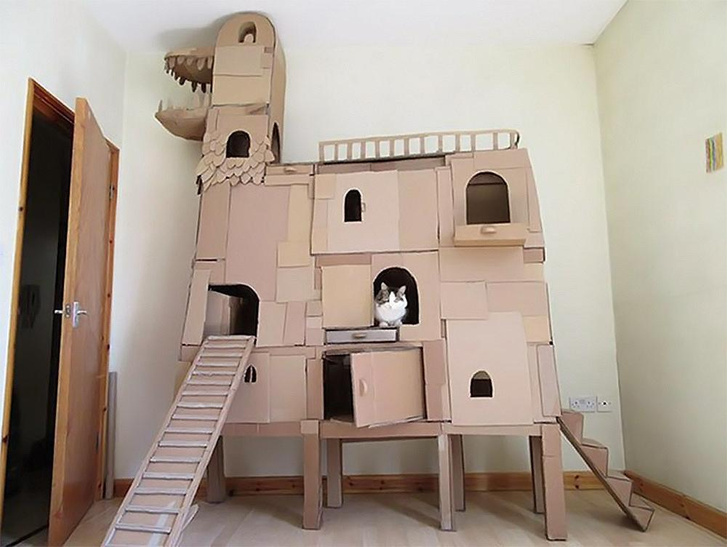 Революция в квартирном вопросе: дома для кошек из картонных коробок