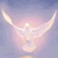 Аватарка lera.svetlova2015