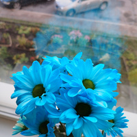 Аватарка Moon