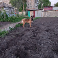 Аватарка Павел Бояршинов