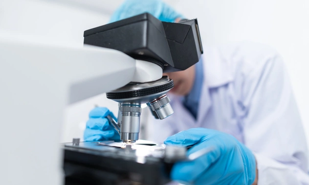 Найдено антитело, которое защитит от всех мутаций коронавируса