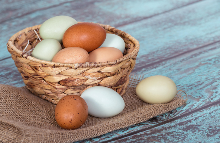 Почему одни куриные яйца белые, а другие коричневые | Вокруг Света