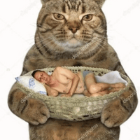 Аватарка ялу