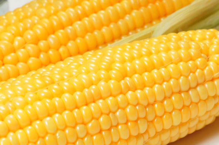 Правда ли, что в кукурузных початках четное число зерен?