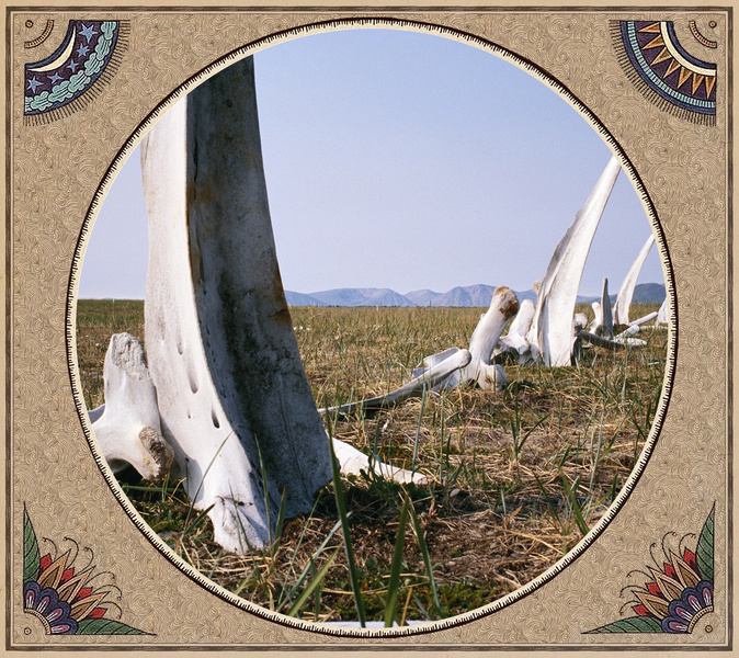 Китовая аллея: все о древнем святилище Чукотки на самом краю мира
