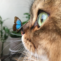 Аватарка Olga888