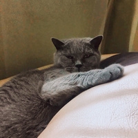 Аватарка Юлианна Вори