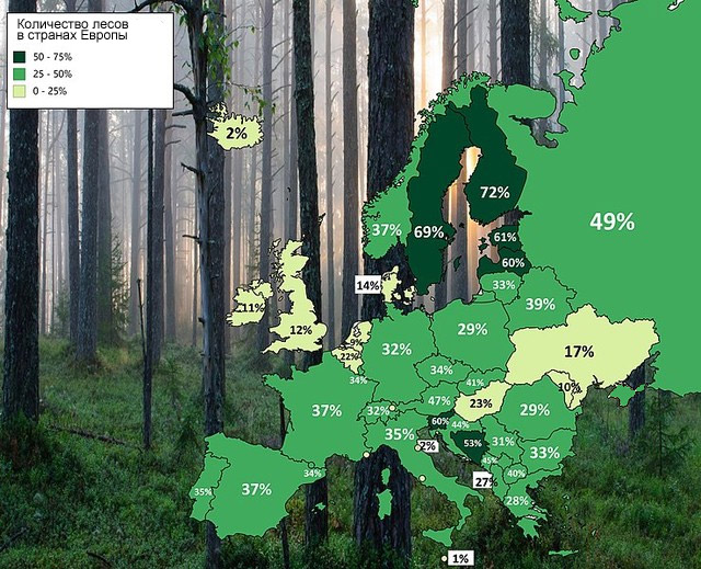 Карта: сколько процентов территории занимают леса в странах Европы и России