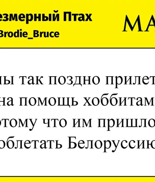 Шутки среды и оплачиваемое тестовое задание