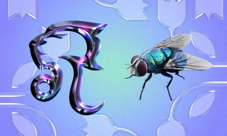 Странный гороскоп: какое ты домашнее насекомое