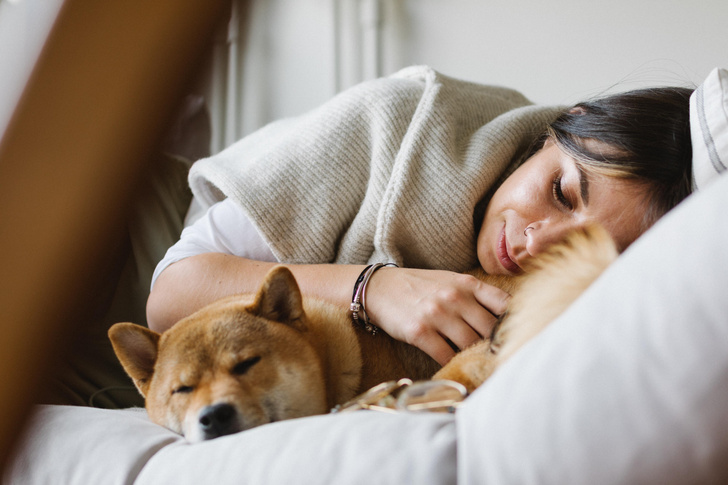 Сомнологи США рассказали о плюсах и минусах сна с домашними животными