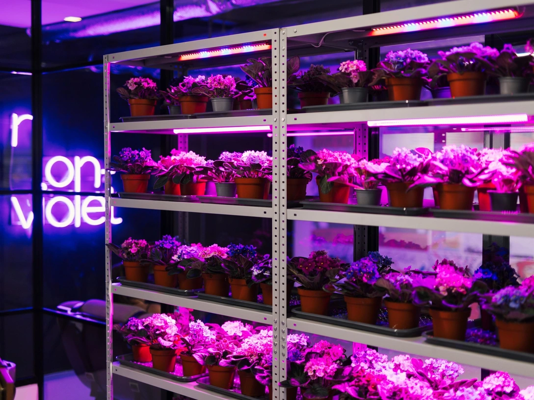 Почему стоит посетить «Нефиолетовую выставку» в Cube.Moscow | marieclaire.ru