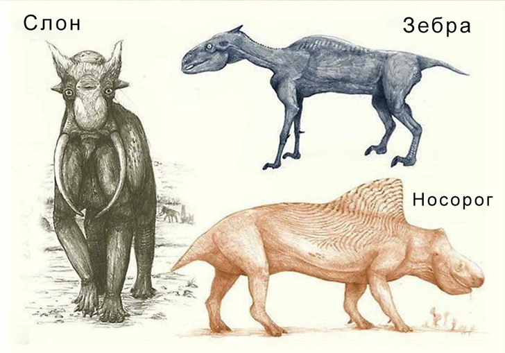 Как бы ученые будущего представляли нынешних животных по костям