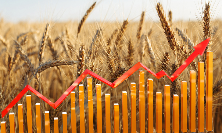 Пшеница вместо доллара: в России появился новый биржевой индекс