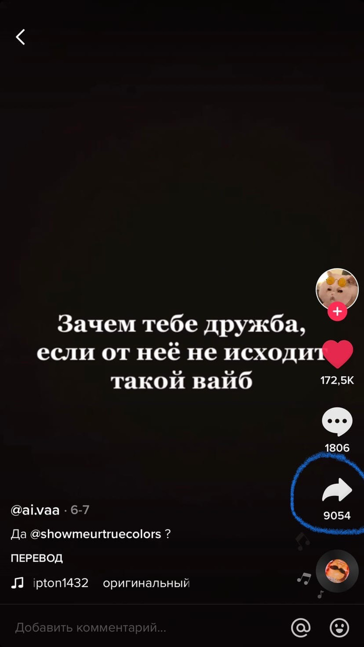 Можно ли перемотать видео в TikTok? Да! 😉 | theGirl