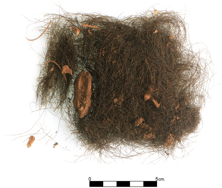Красные волосы шамана: найдено первое свидетельство использования галлюциногенов в Европе бронзового века