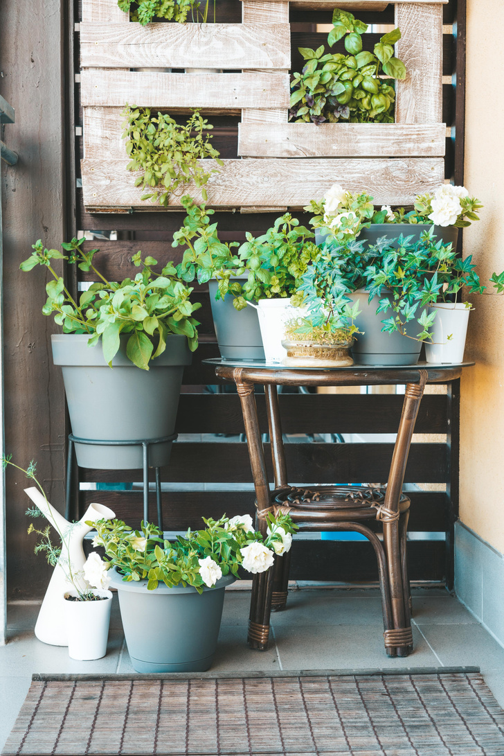 Для дачи и балкона: лучшие аксессуары для садоводства