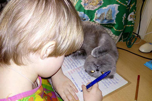 Злость, любовь, месть и еще 15 эмоций котов