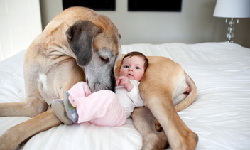 Домашние животные, которые нянчат младенцев: 30 самых умилительных фото детей и собак