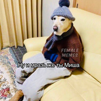 Аватарка fobiiana
