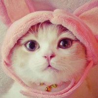 Аватарка НетвояМася