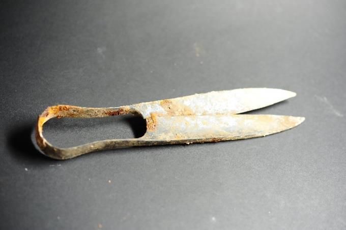 Сабля для мертвеца и блестящие ножницы: посмотрите, что нашли в кельтском захоронении в Баварии