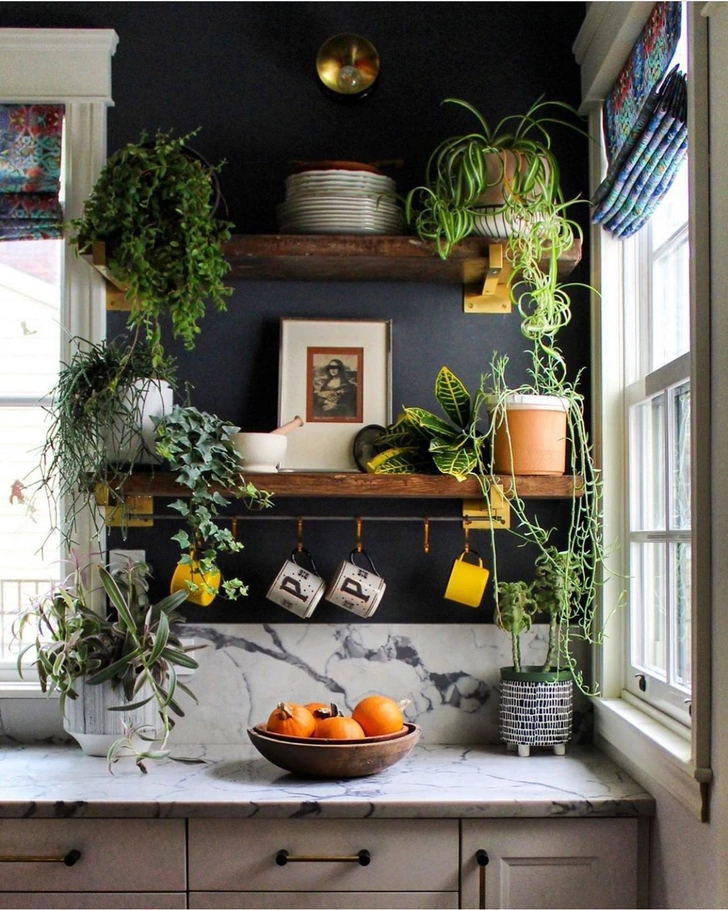 Источник: @urbanjungleblog